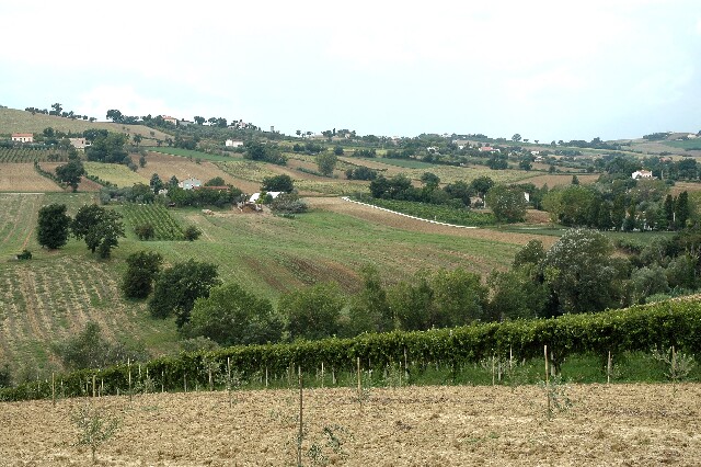 min 2006 08 25 corinaldo 165